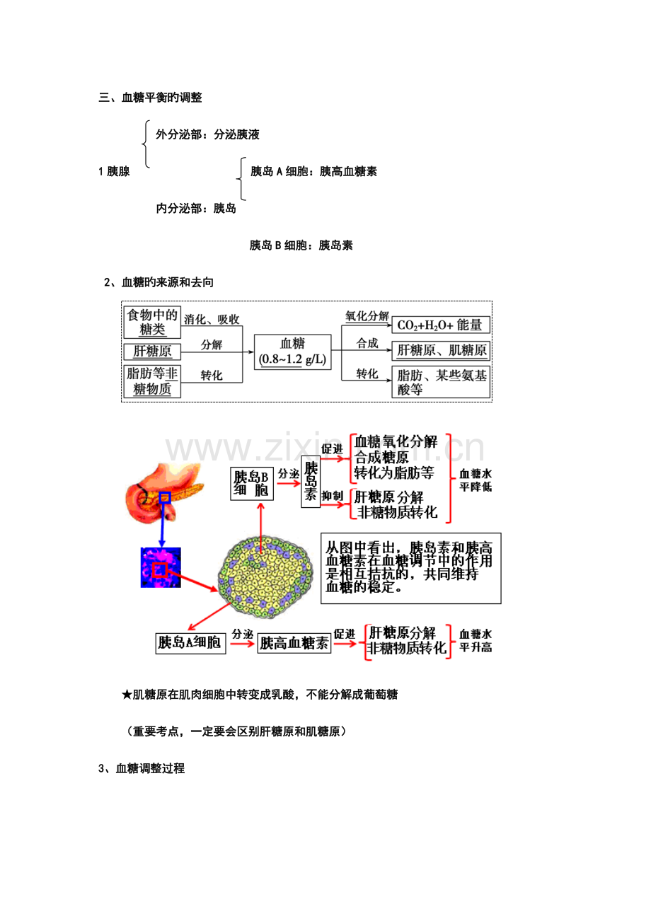 2023年通过激素的调节知识点笔记.doc_第2页