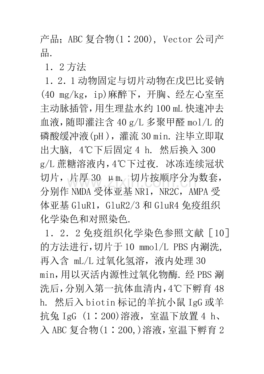 NMDA和AMPA型谷氨酸受体亚基在成年大鼠前脑室管膜及室管膜下区的分布.docx_第3页