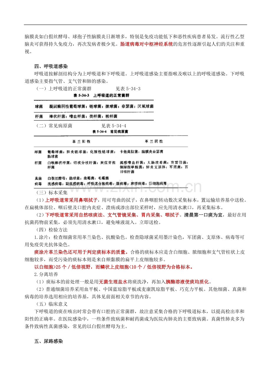 微生物检验临床标本微生物学检验概述.doc_第3页