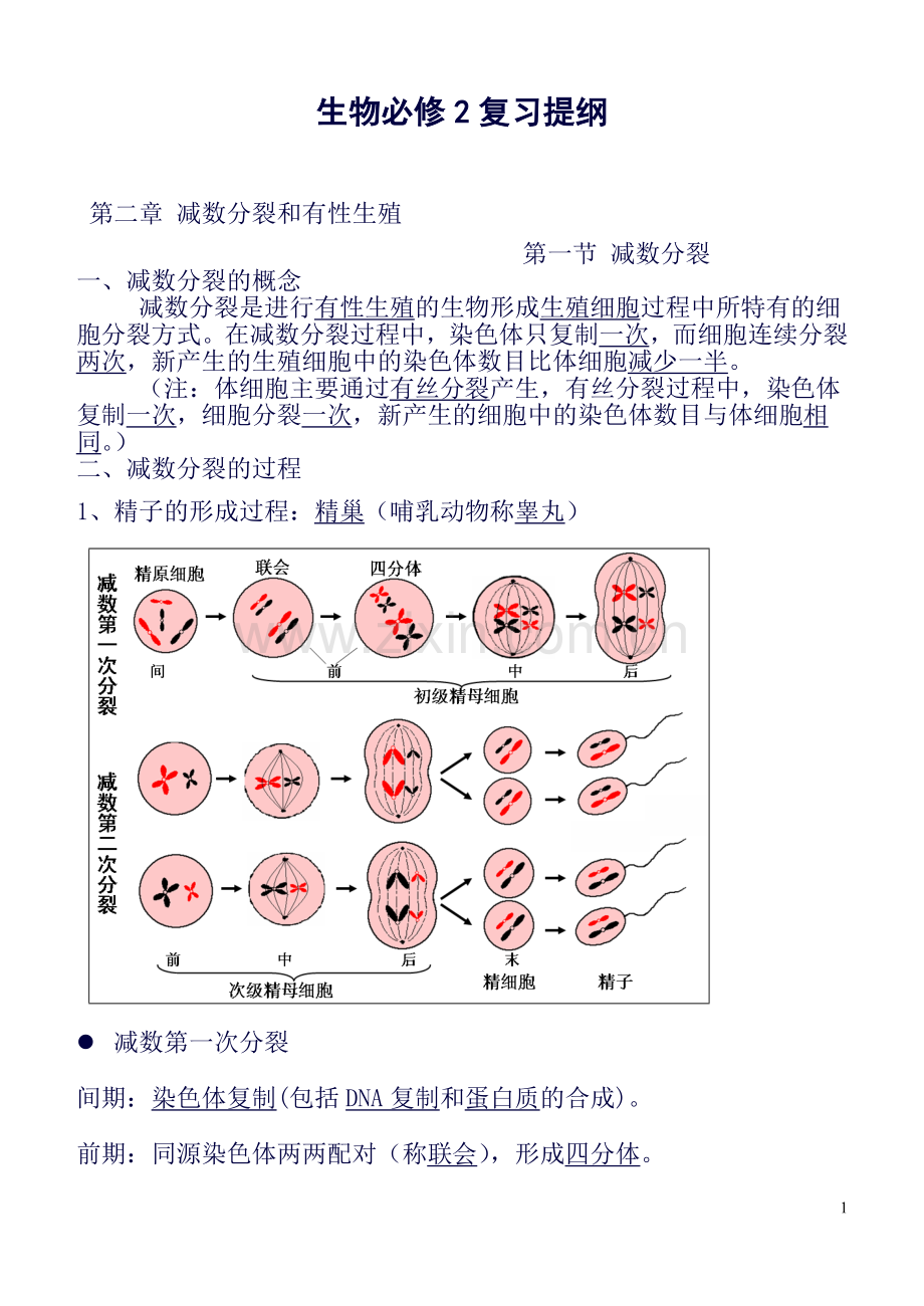 高一生物必修2知识点整理.总结.doc_第1页