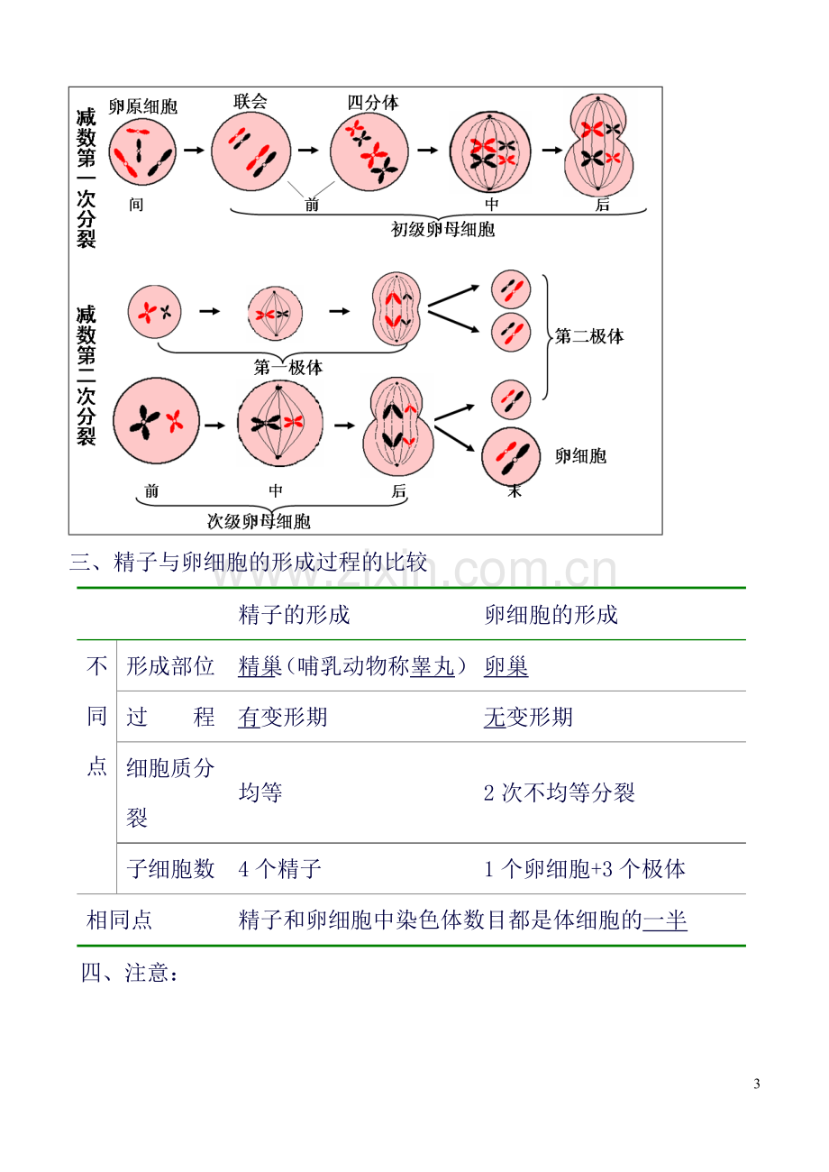 高一生物必修2知识点整理.总结.doc_第3页