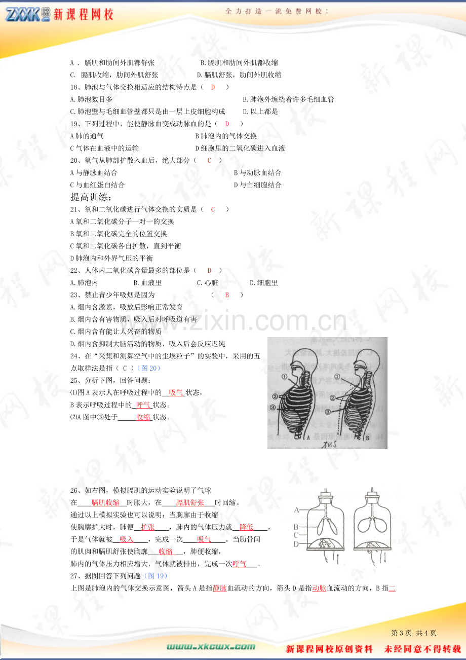 第三章人体的呼吸测试题试题3.doc_第3页