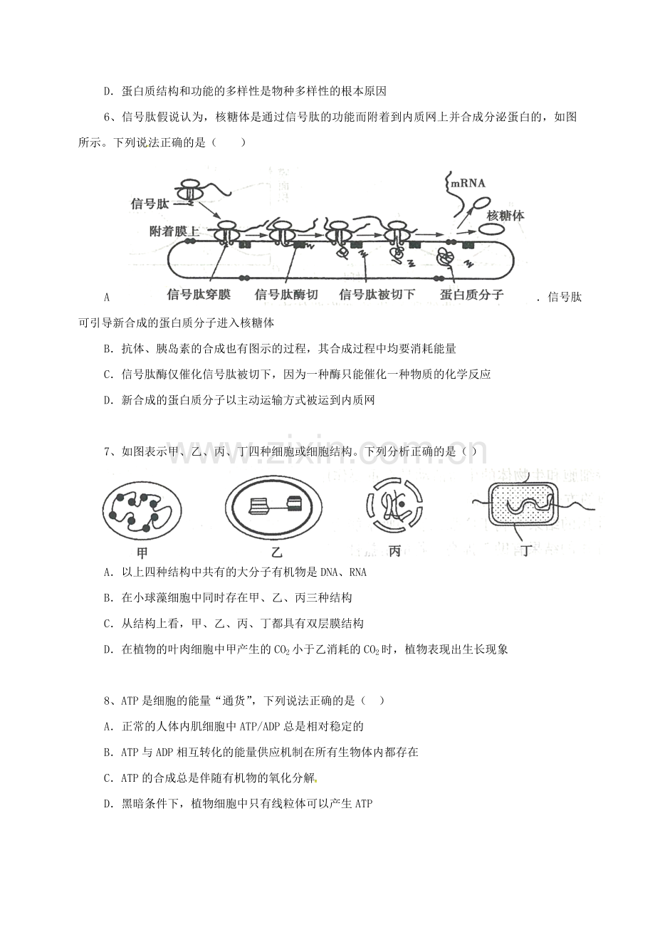 高三生物上学期期末考试试题B卷.doc_第2页