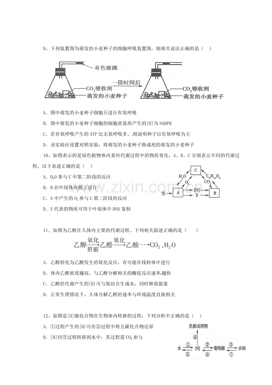 高三生物上学期期末考试试题B卷.doc_第3页