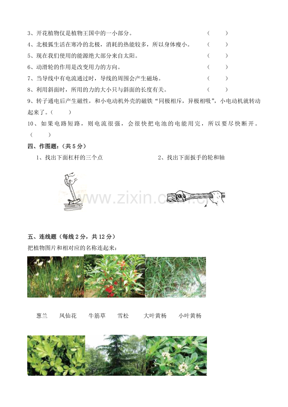 六年级上册科学期末考试试卷.doc_第3页