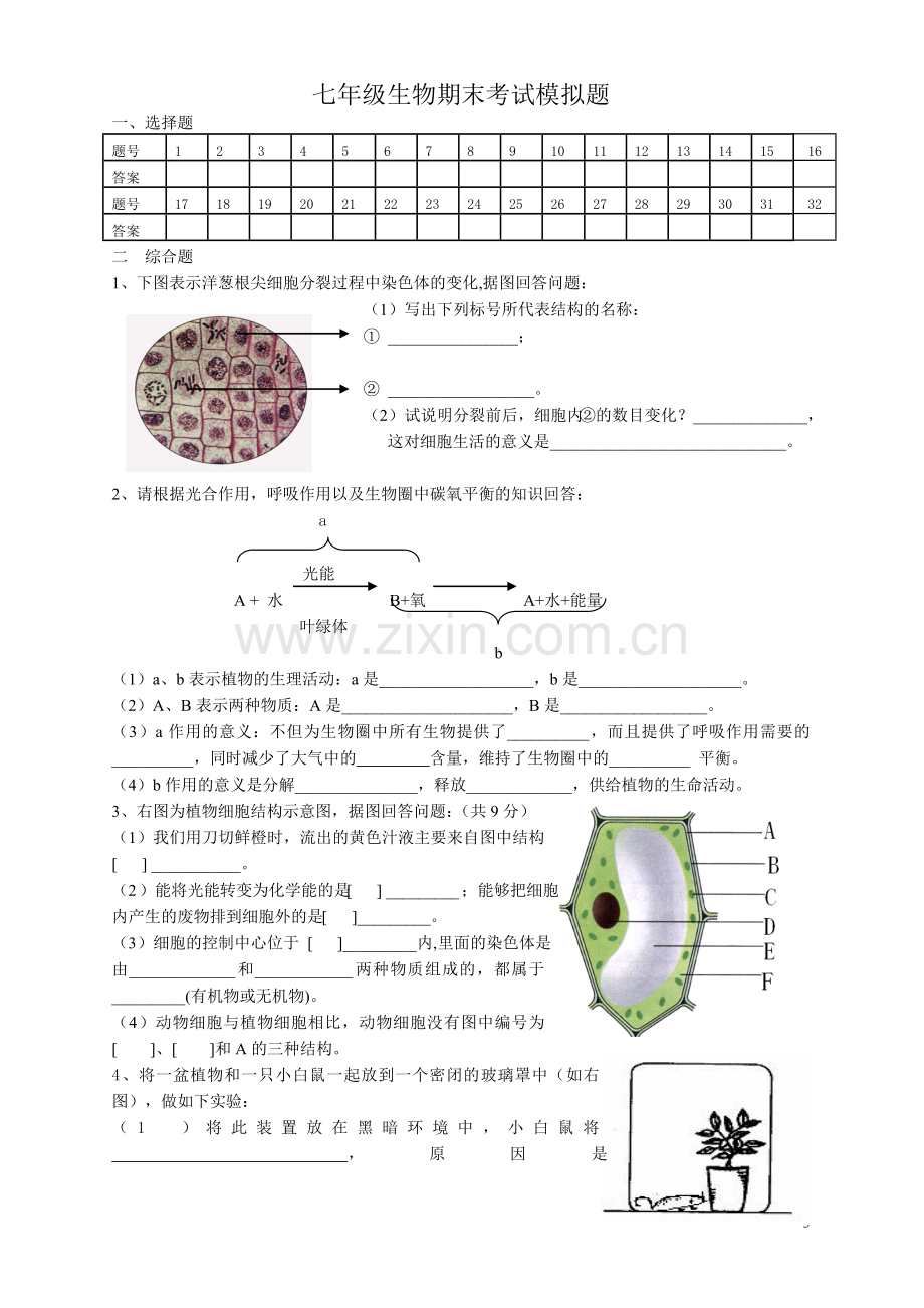 七年级生物上册期末试卷及答案(人教版).doc_第3页