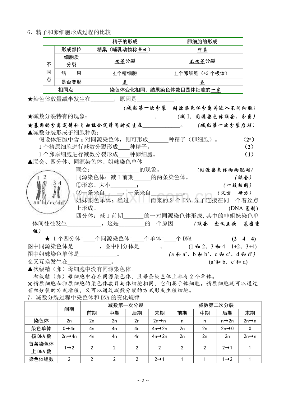 生物必修二知识填空(含答案).doc_第2页