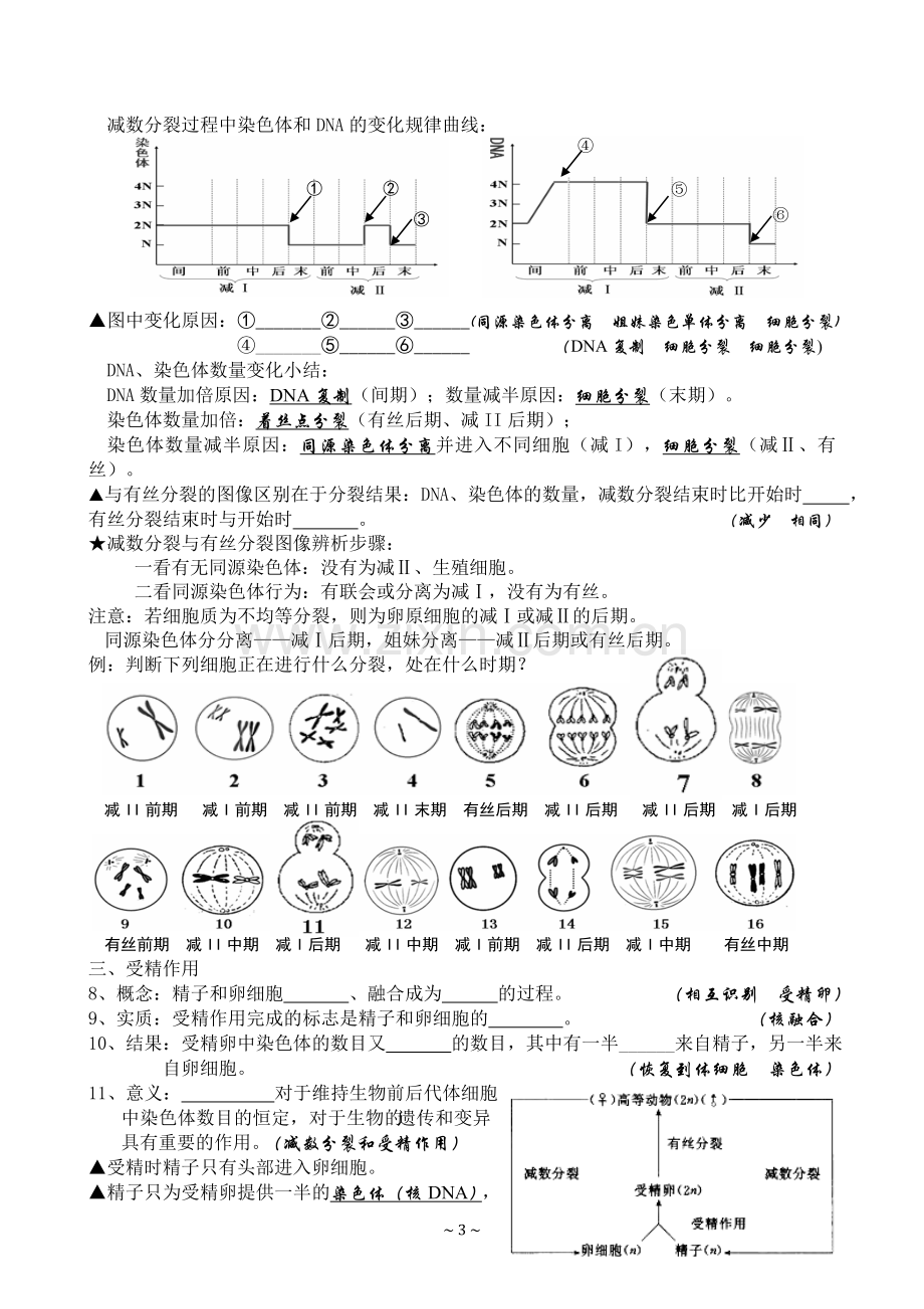 生物必修二知识填空(含答案).doc_第3页