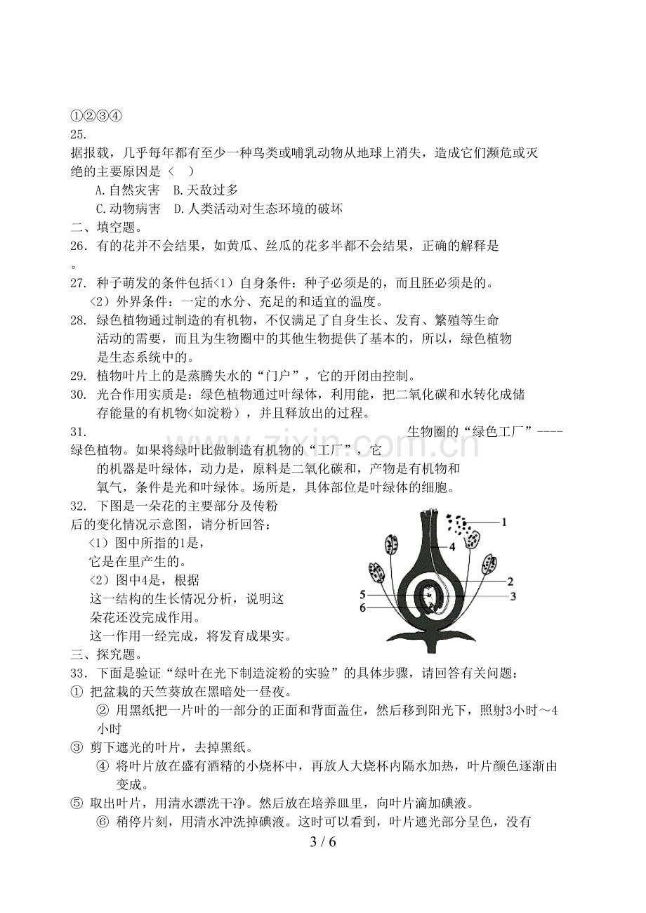 第三单元生物圈中的绿色植物测试题86620.doc_第3页