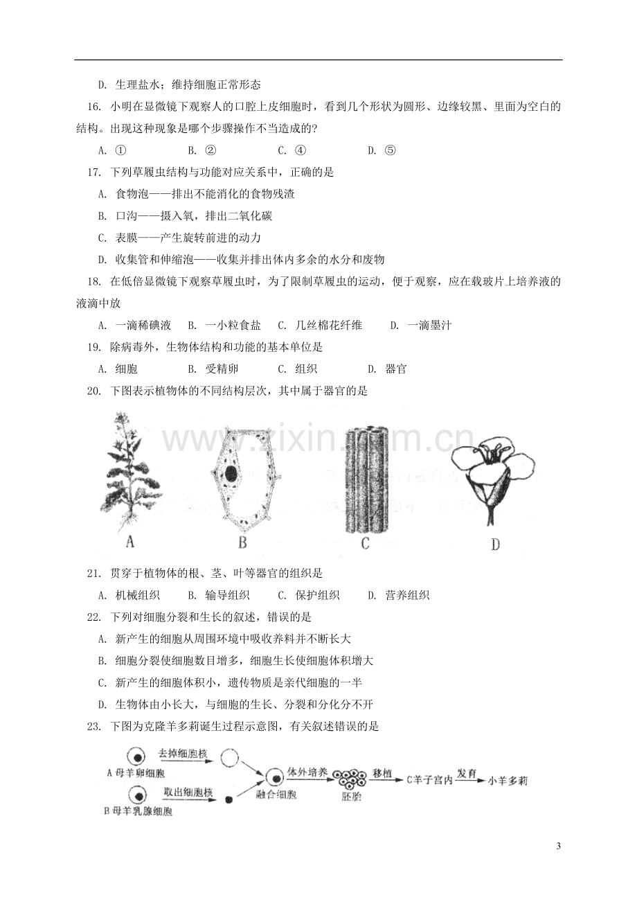 山东省泰安市泰山区六年级生物上学期期末考试试题(五四制).doc_第3页