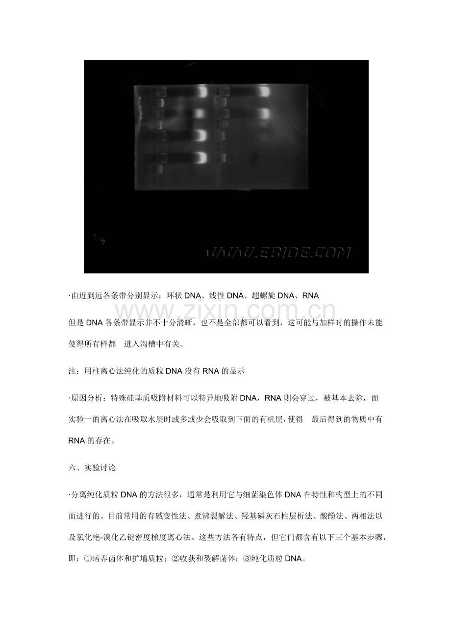 柱离心法纯化质粒DNA.doc_第3页