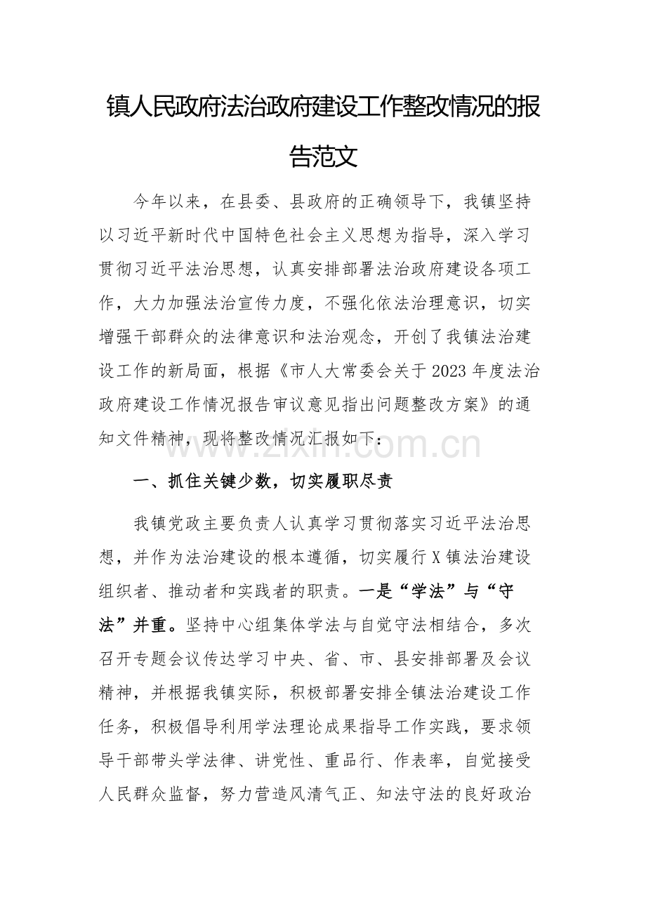 2024年法治政府建设工作整改情况的报告范文.docx_第1页