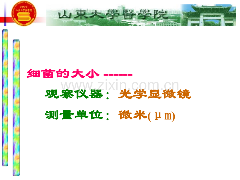 第一章细菌的形态与结构--2010.9.20.ppt_第3页