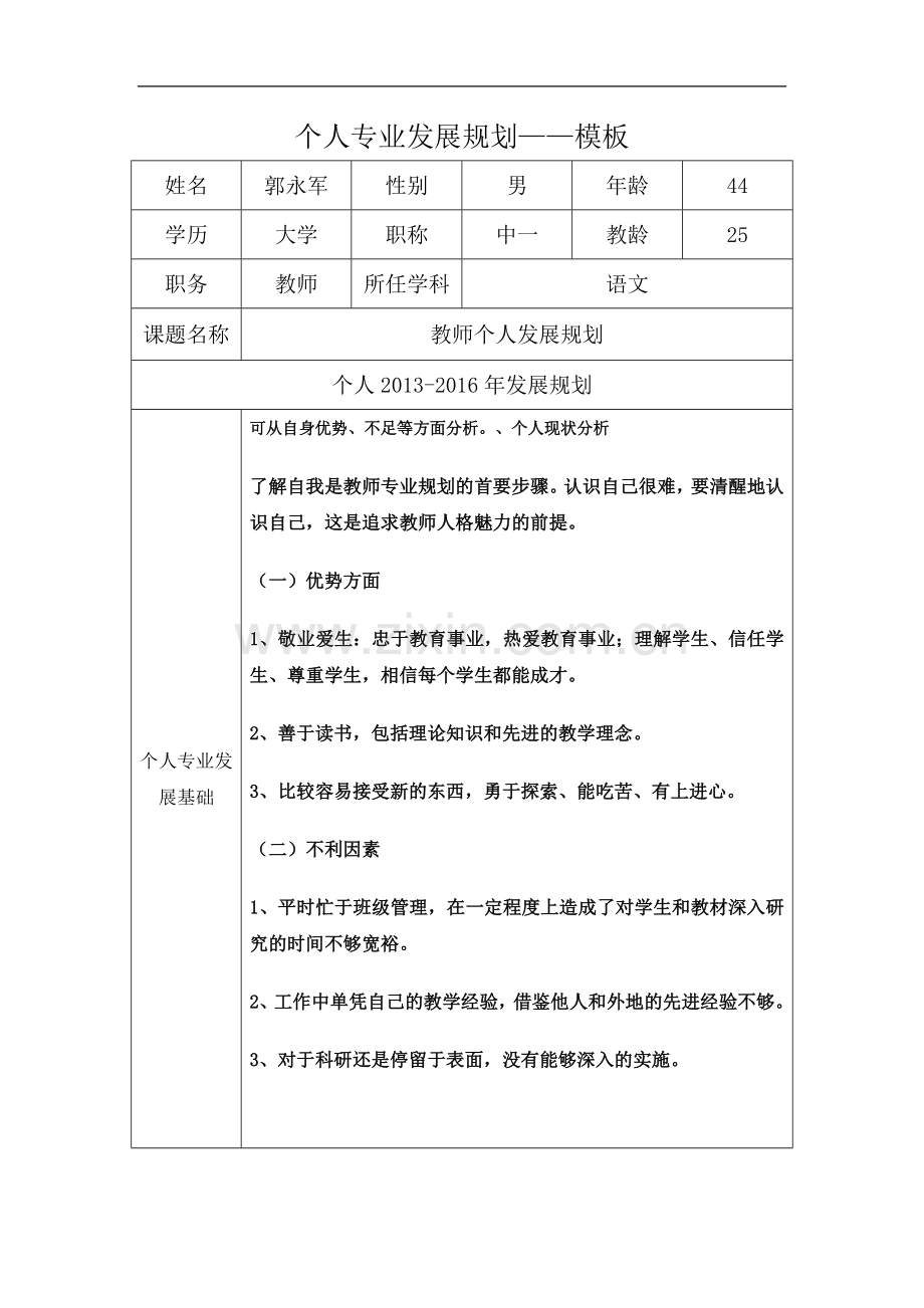 个人专业发展规划模板(00001).doc_第2页