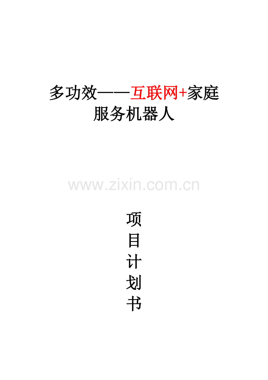 新版互联网综合项目专题计划书.doc_第1页