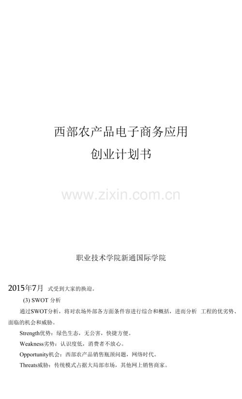 西部农产品电子商务应用创业实施计划书.docx