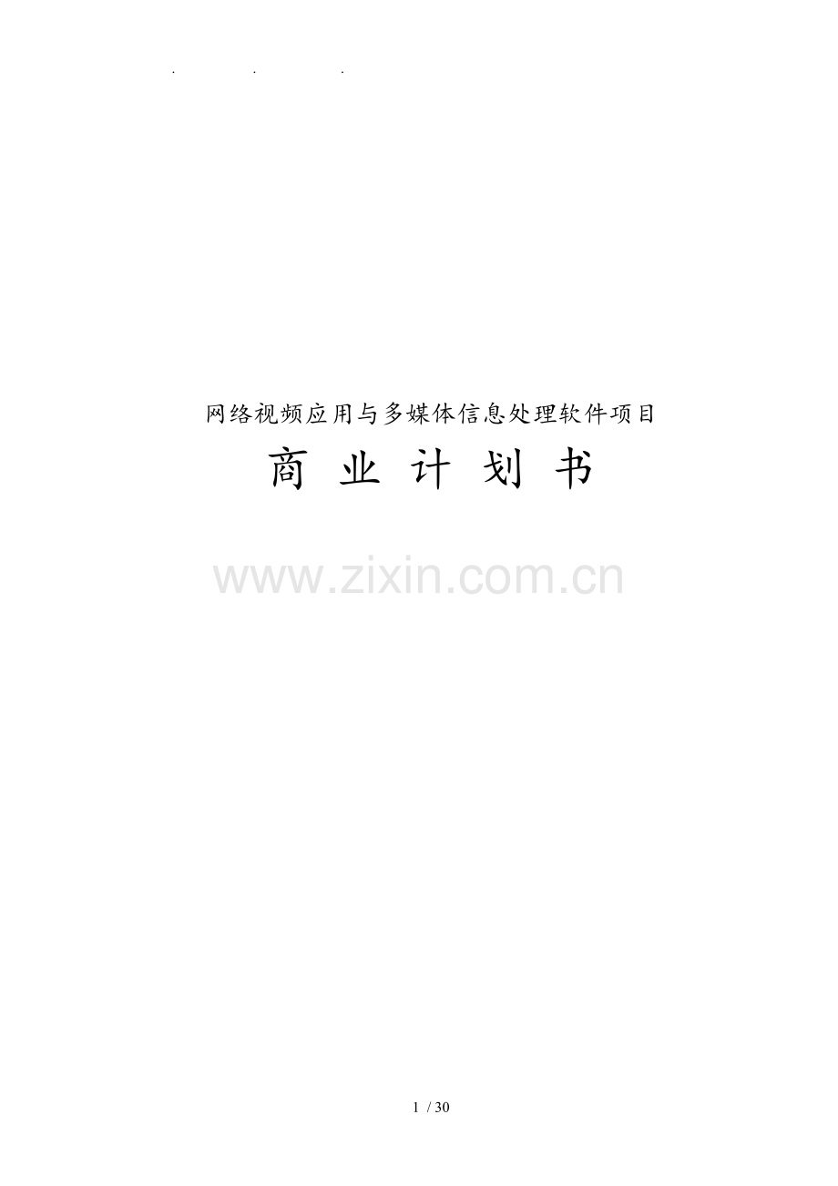 网络视频应用与多媒体信息处理软件项目商业实施计划书.doc_第1页