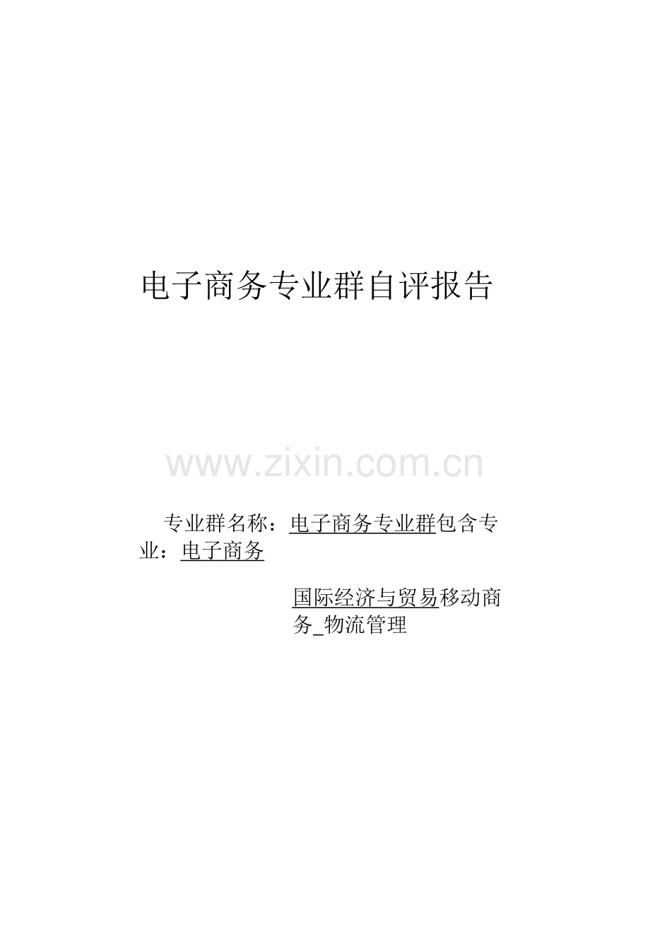 高水平电子商务专业群自评报告.docx_第1页