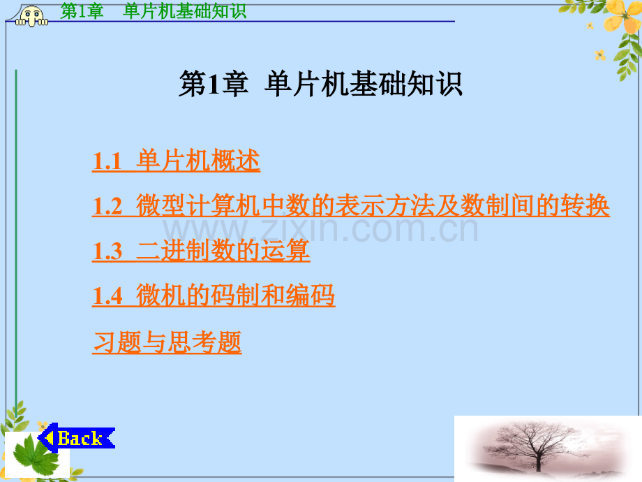 2022年单片机基础知识.ppt_第1页