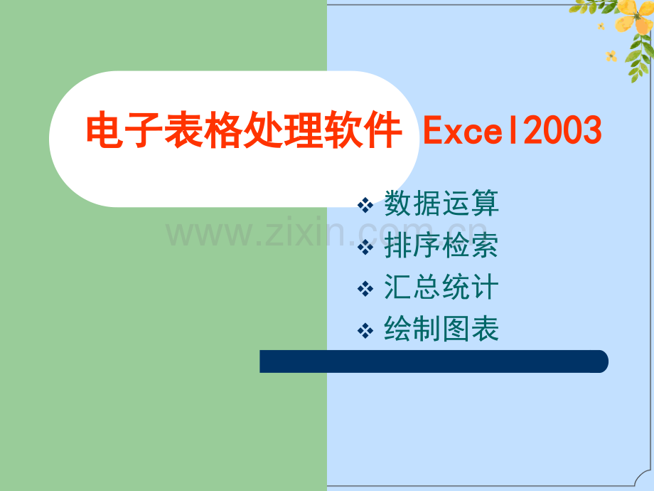 2022年电子表格处理软件的使用.ppt_第1页