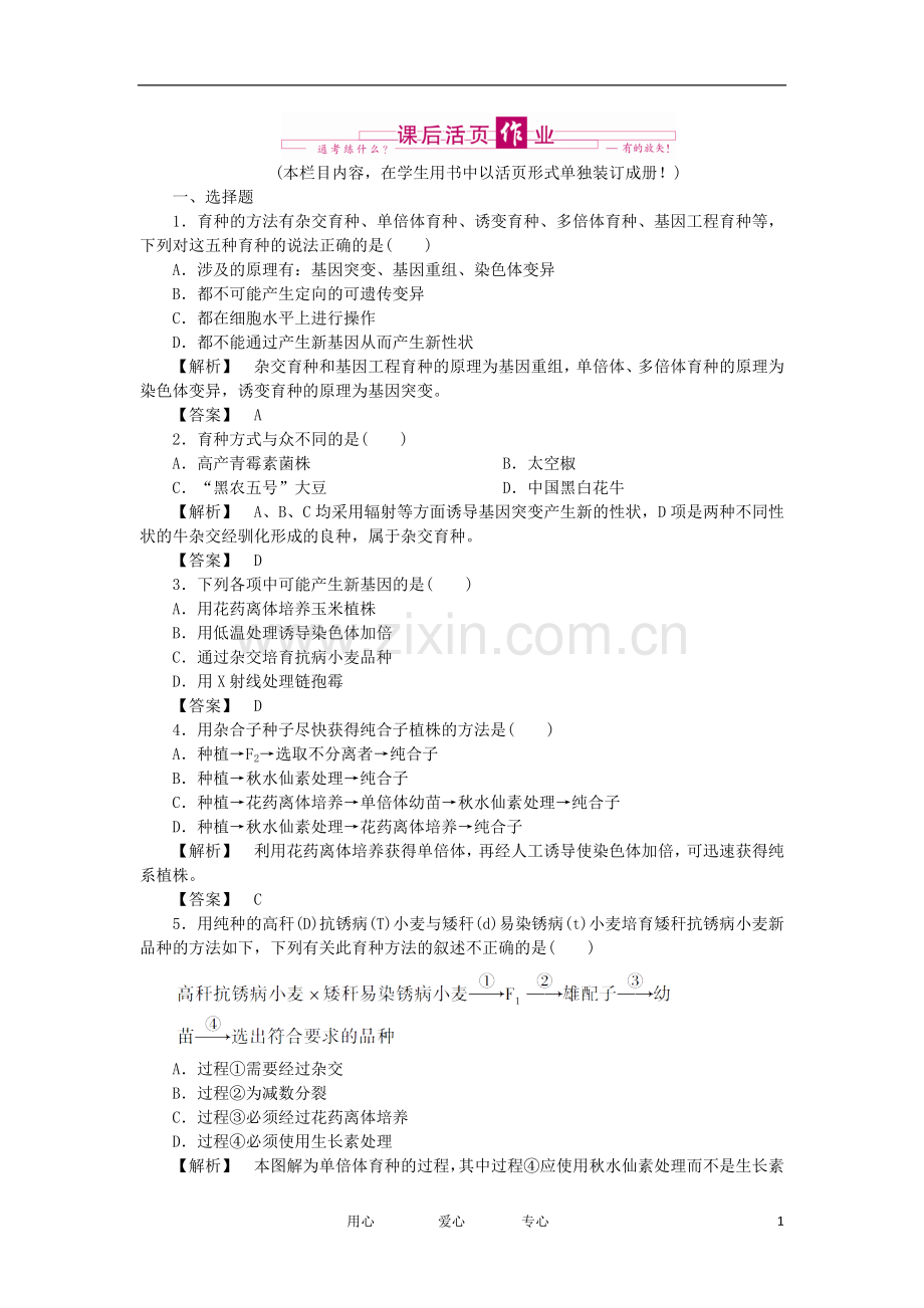 2021年高考生物 第6章 从杂交育种到基因工程跟踪训练 新人教版必修2.doc_第1页