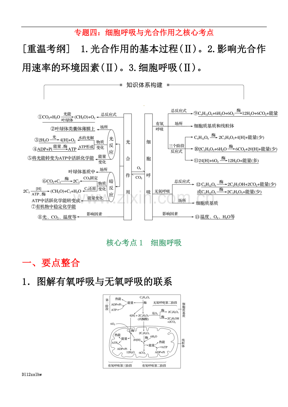 专题04-细胞呼吸与光合作用之核心考点-高考生物二轮专题复习之核心考点之提分冲刺(解析版).doc_第2页