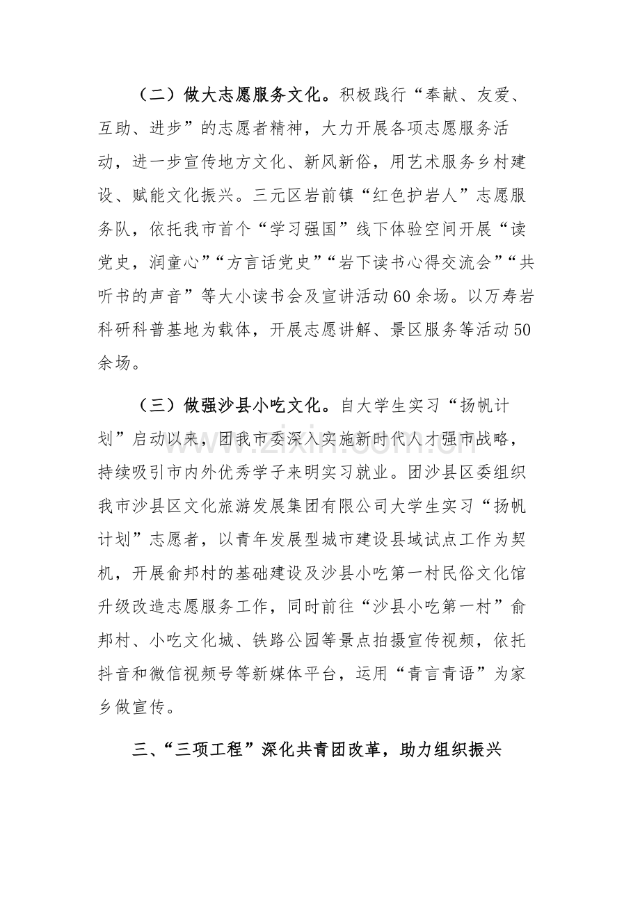 团委关于推动乡村振兴工作情况的报告范文.docx_第3页