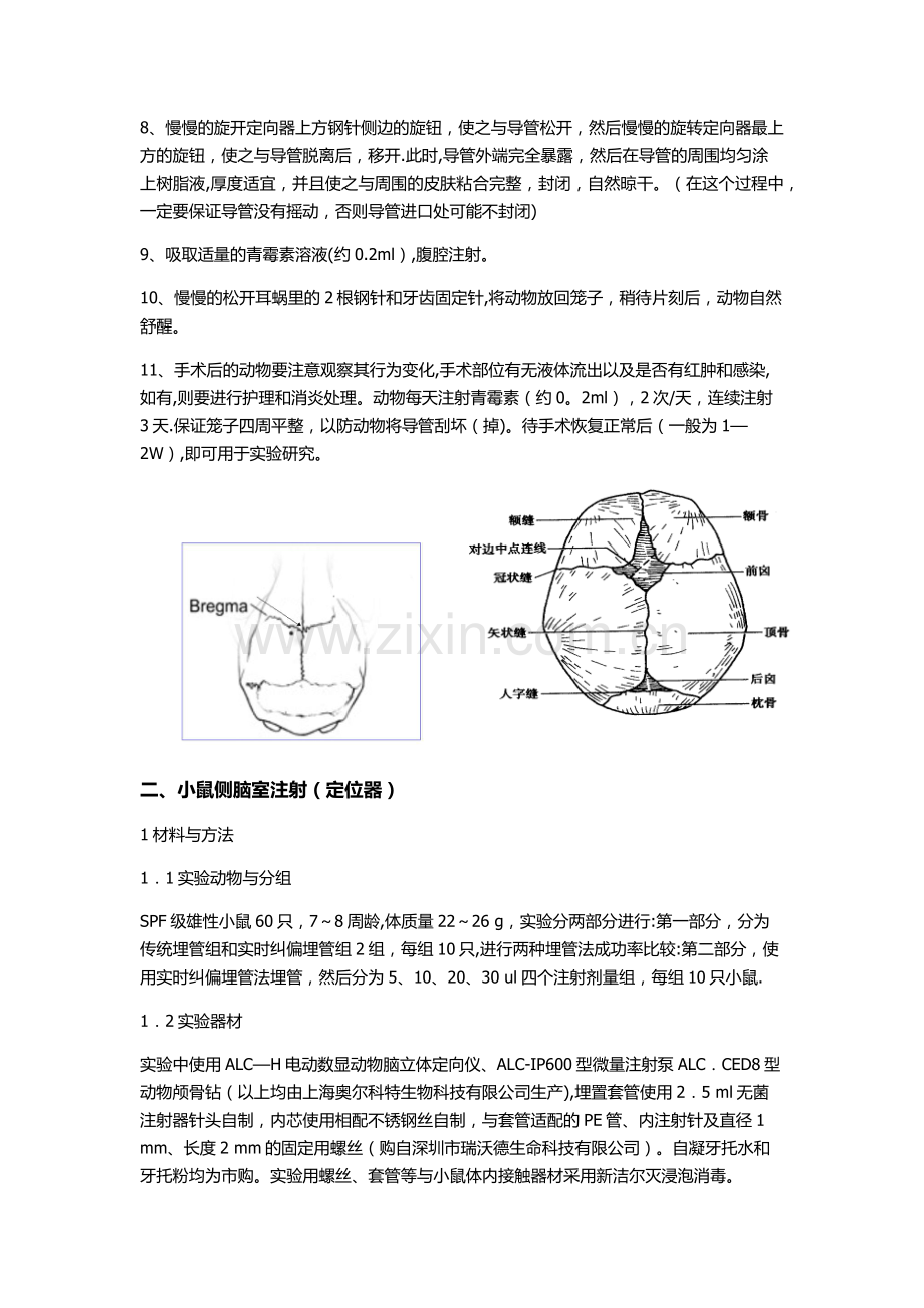 侧脑室注射.doc_第3页