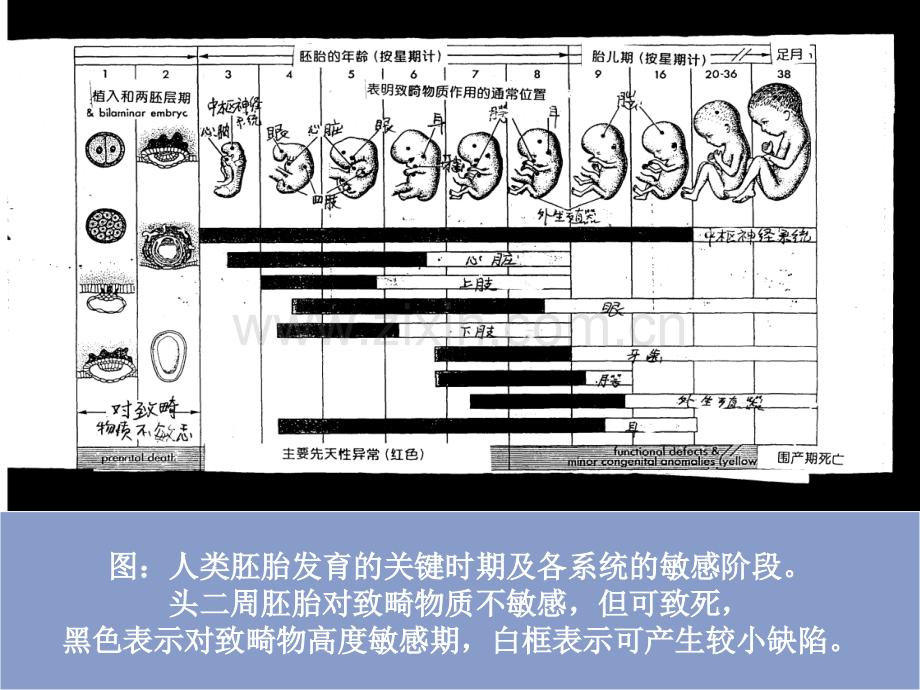 孕产期的健康教育.ppt_第3页