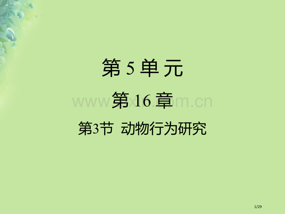 八年级生物上册16.3动物行为的研究省公开课一等奖新名师优质课获奖课件.pptx_第1页