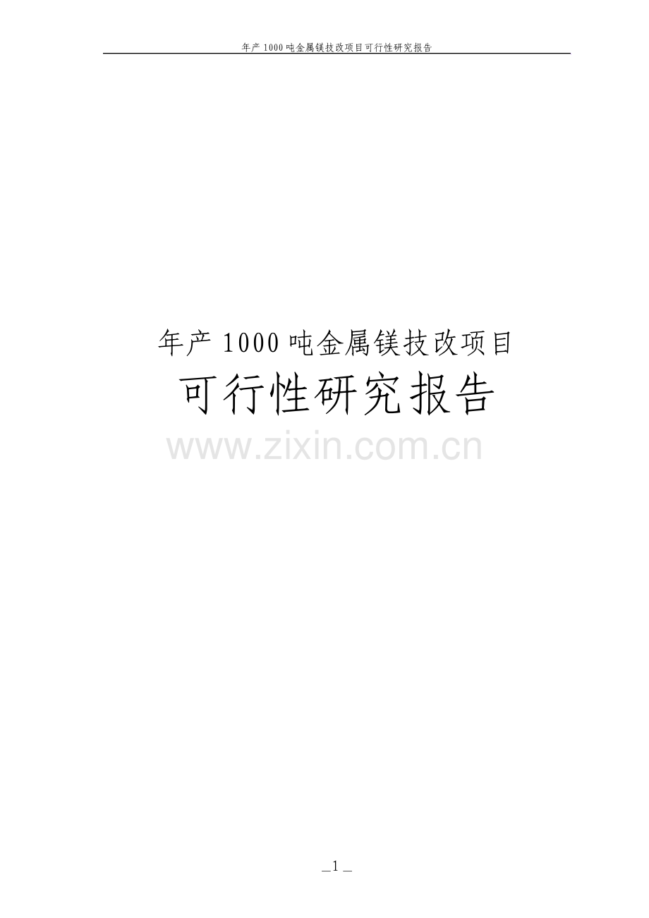 年产1000吨金属镁技改项目可行性研究报告.pdf_第1页