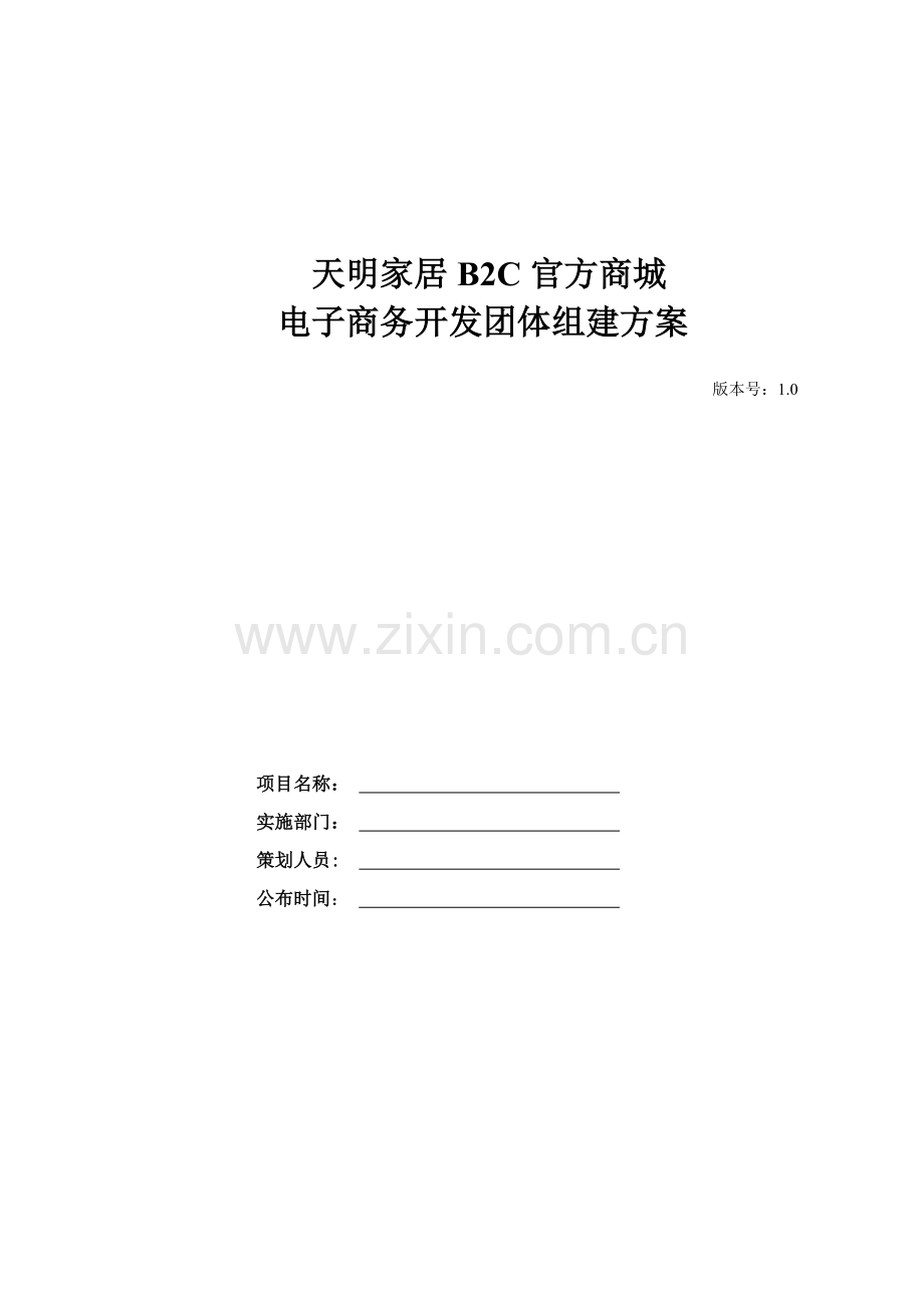 电子商务开发团队组建专项方案.doc_第1页