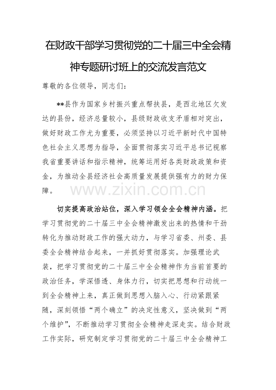 在财政干部学习贯彻党的二十届三中全会精神专题研讨班上的交流发言范文.docx_第1页