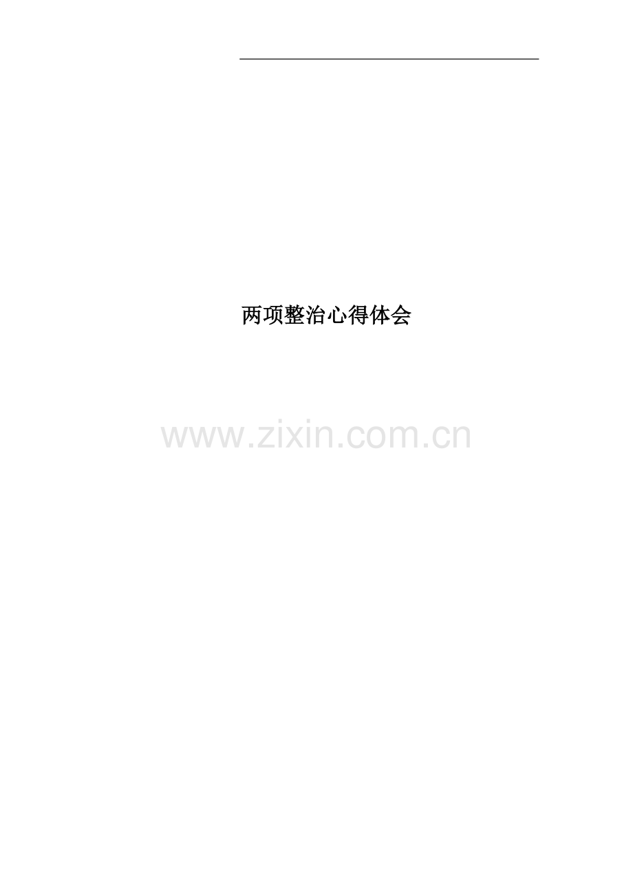 两项整治心得体会.docx_第1页