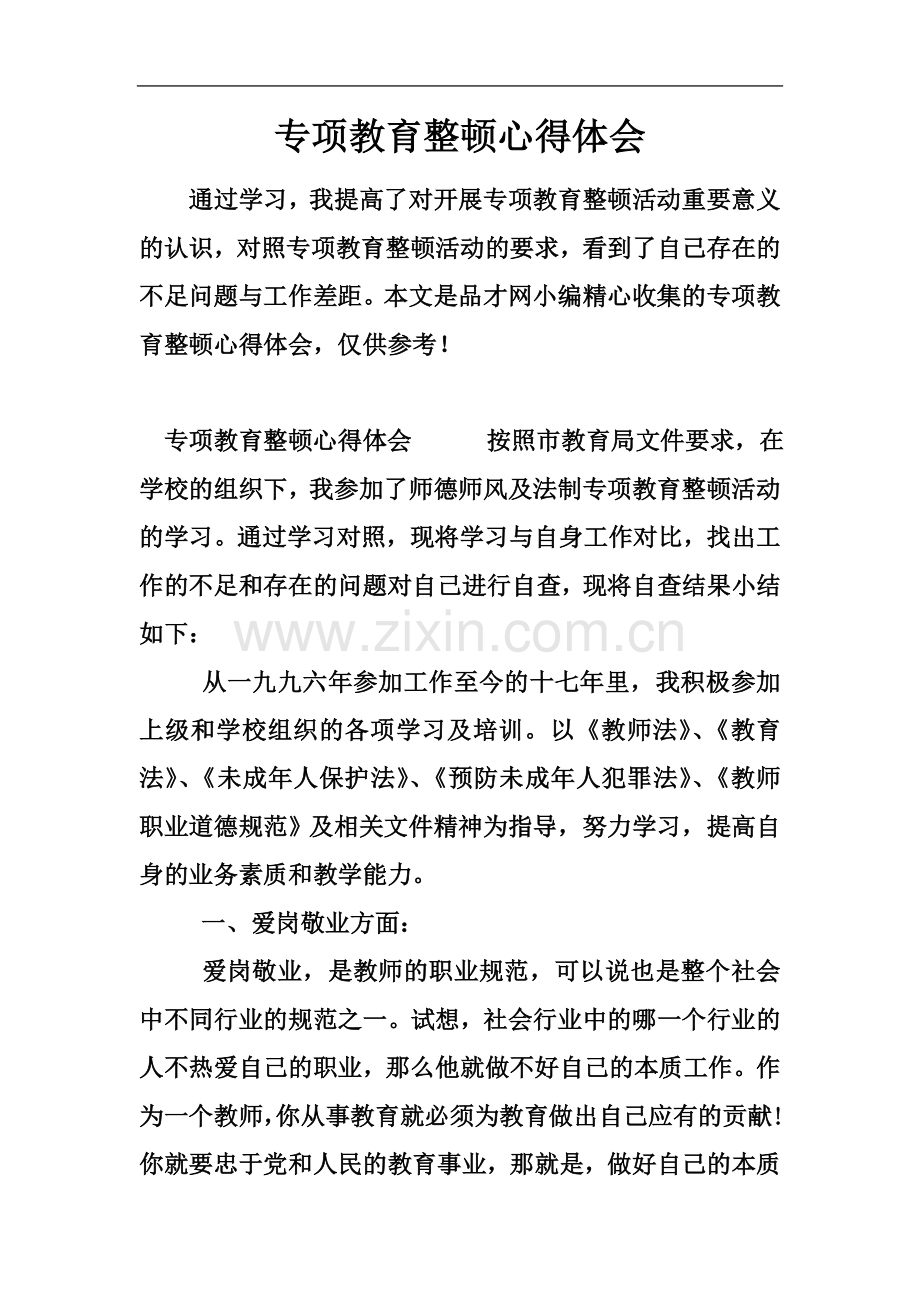 专项教育整顿心得体会.docx_第2页