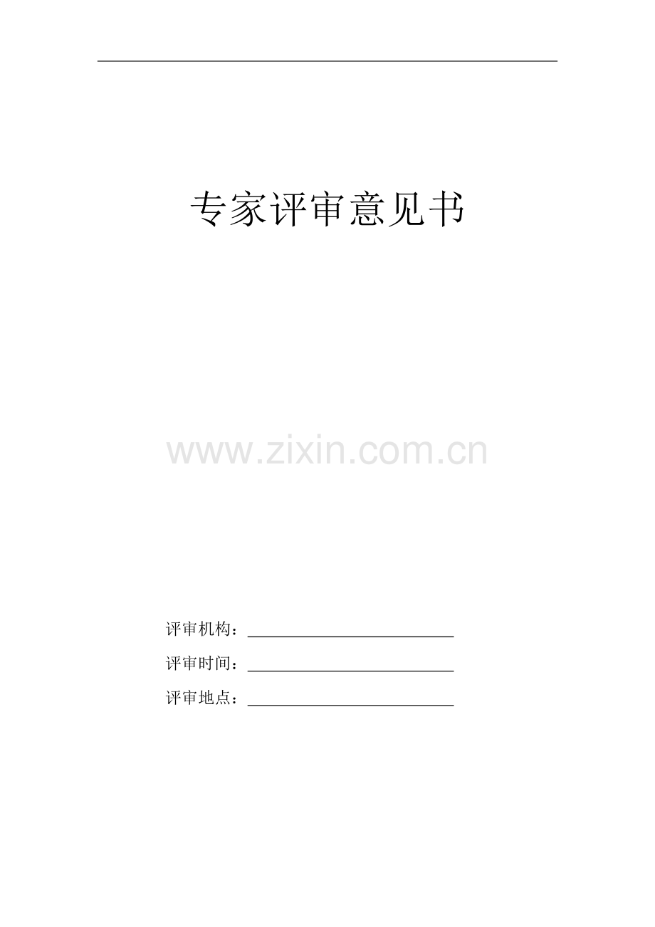 专家评审意见书(产业规划).doc_第2页