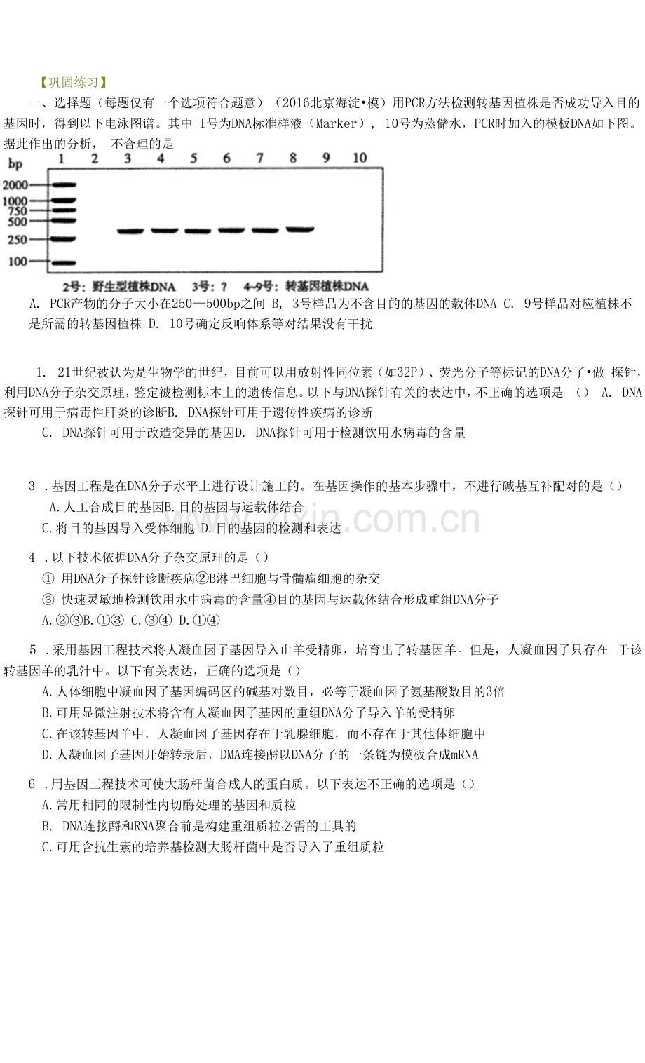 巩固练习——基因工程.docx_第1页