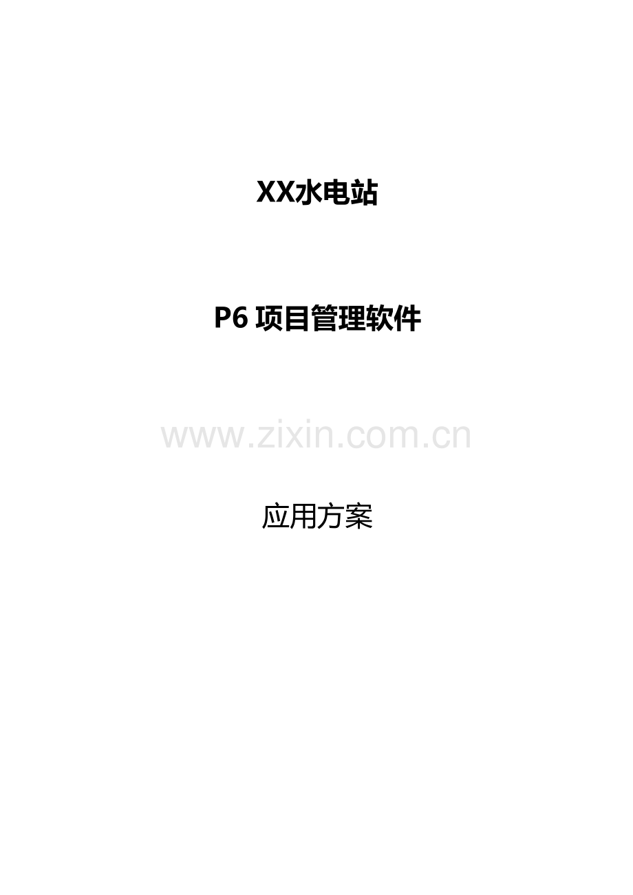 PPPM软件应用专项方案.doc_第1页