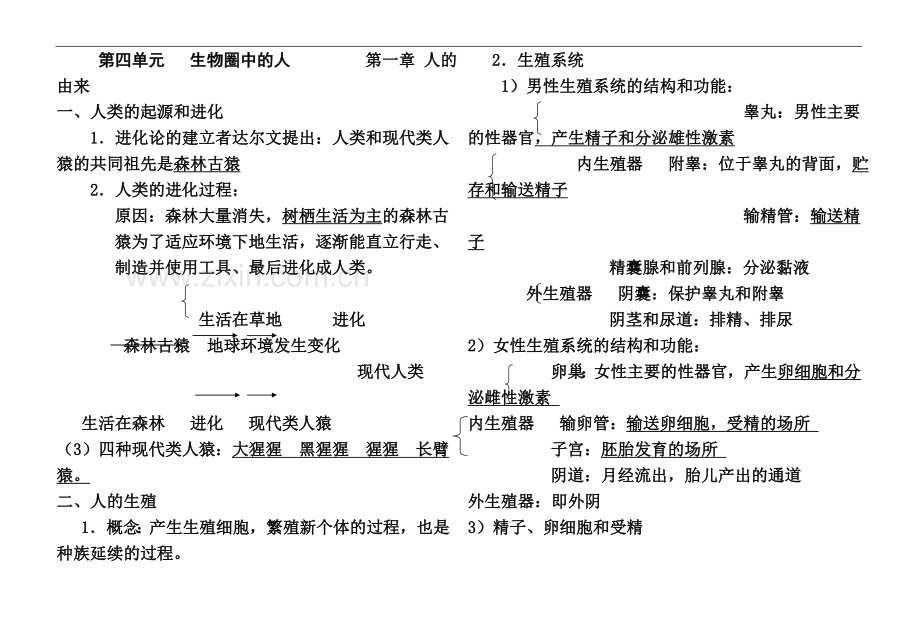 七年级下册生物知识点归纳.doc_第2页