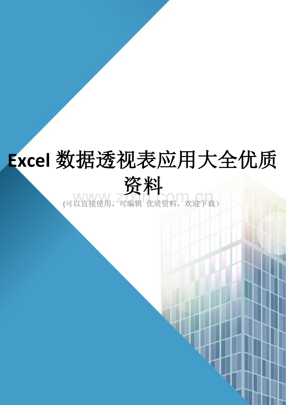 Excel数据透视表应用大全.doc_第1页