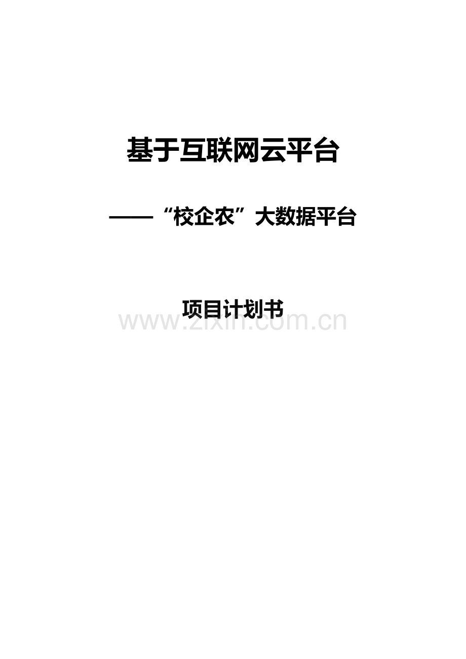 互联网综合项目专题计划书.doc_第1页