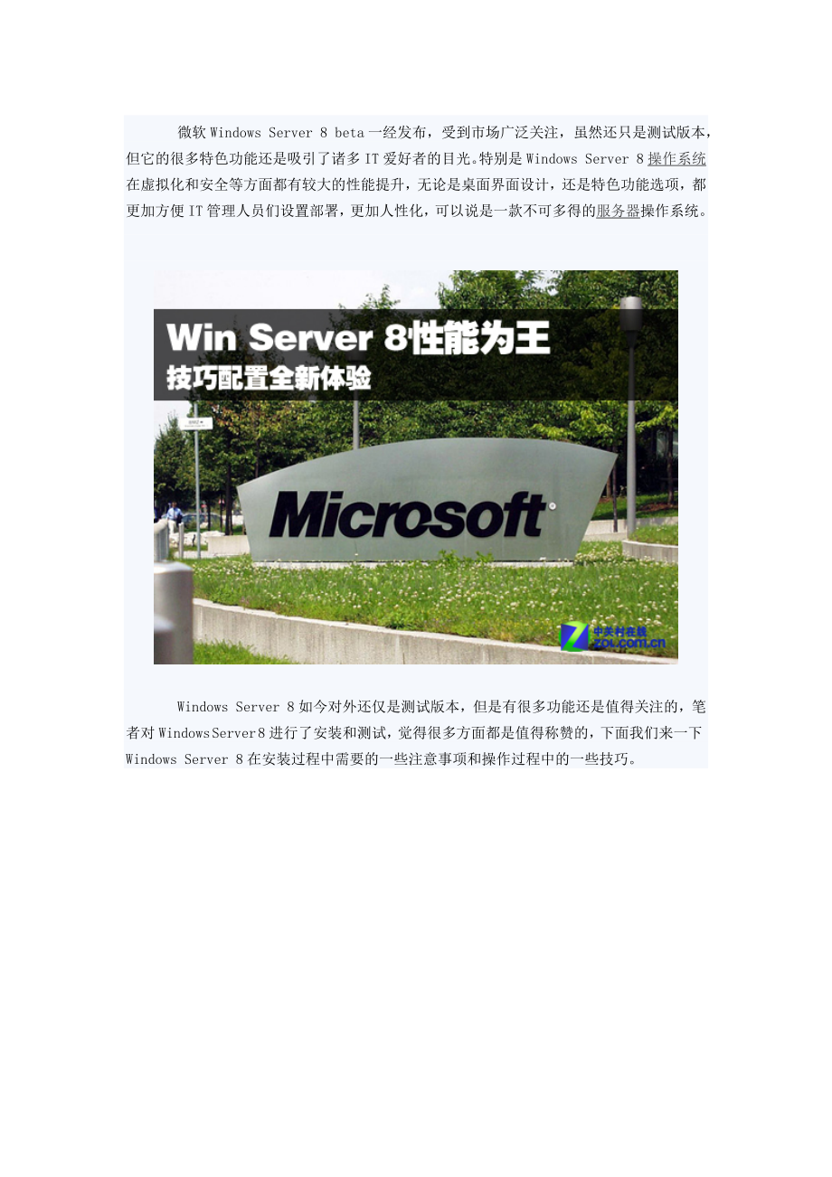 Windows-Server-8操作技巧Web服务器配置.docx_第1页