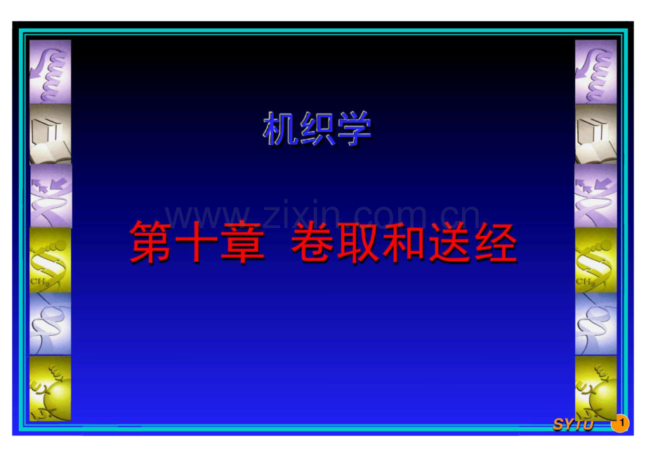 机织学 第十章 卷取和送经.pdf_第1页