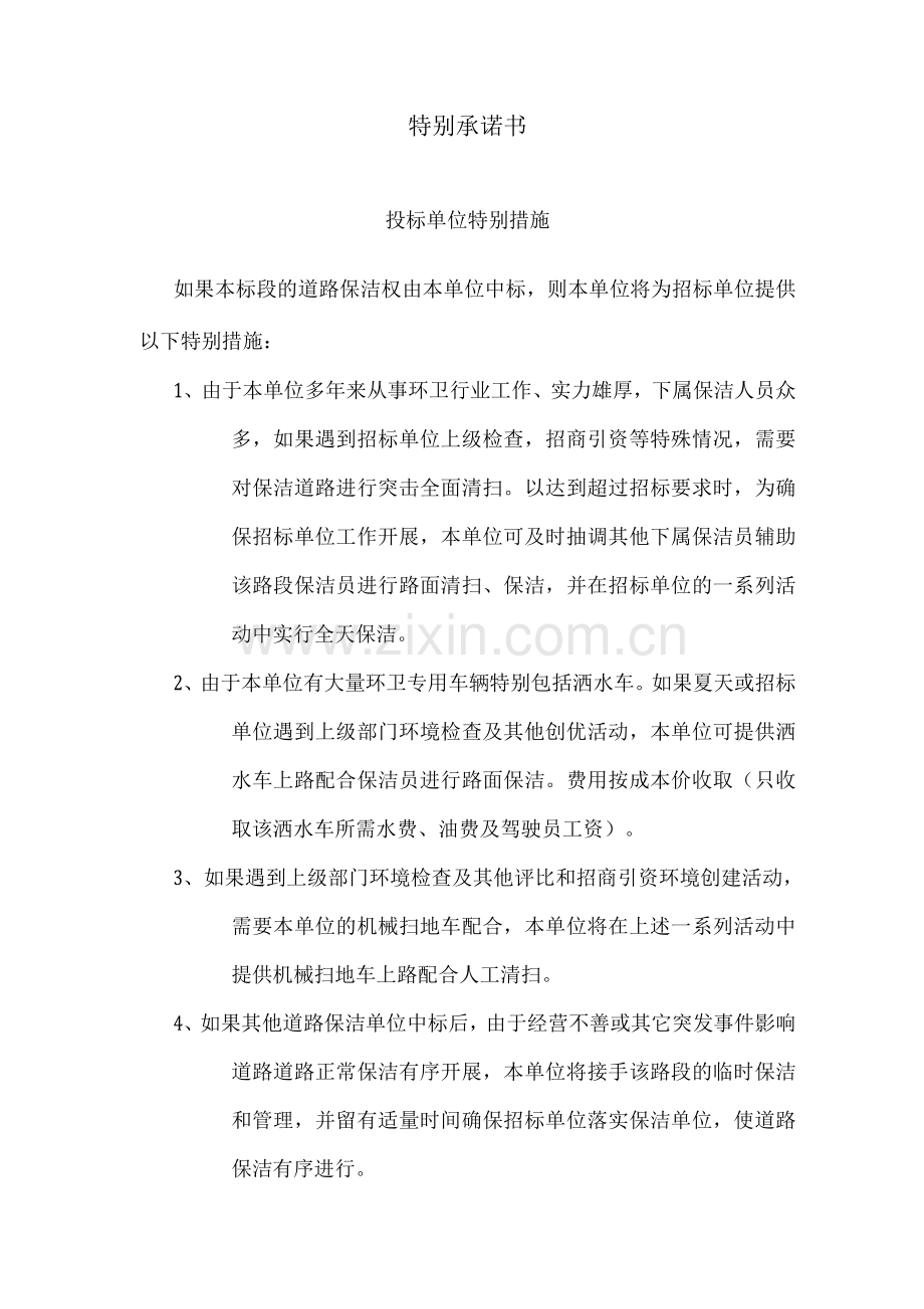 特别承诺书.docx_第1页