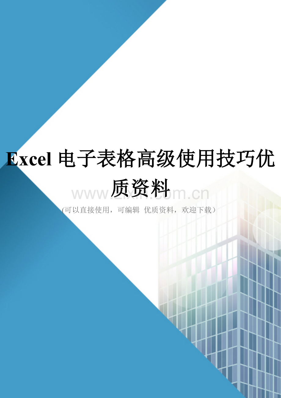 Excel电子表格高级使用技巧优质资料.doc_第1页