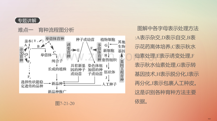 高考生物复习第7单元变异育种与进化拓展微课育种流程图的分析与设计全国公开课一等奖百校联赛示范课赛课特.pptx_第2页