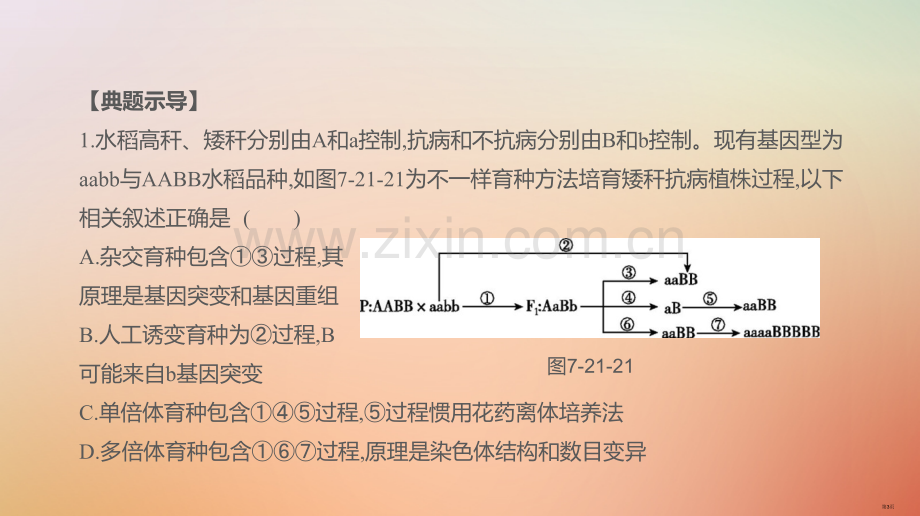 高考生物复习第7单元变异育种与进化拓展微课育种流程图的分析与设计全国公开课一等奖百校联赛示范课赛课特.pptx_第3页