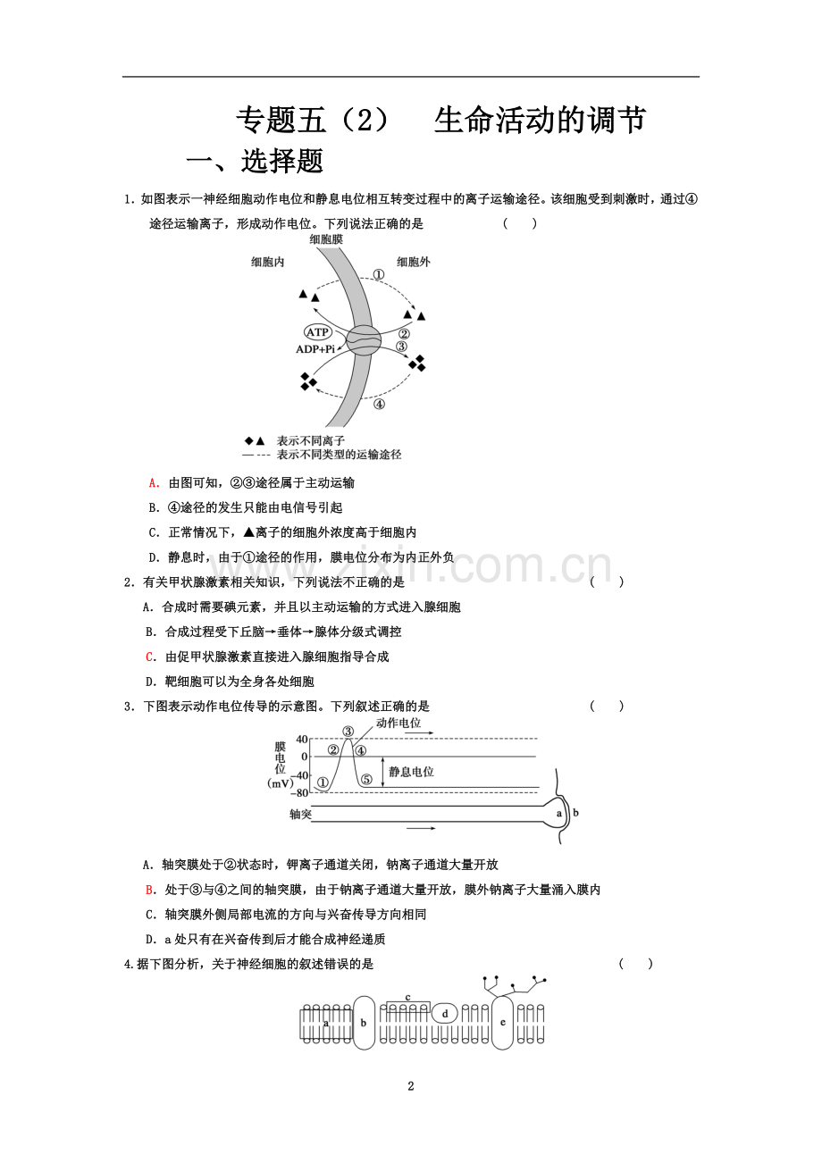 专题五(2)-生命活动的调节.doc_第2页