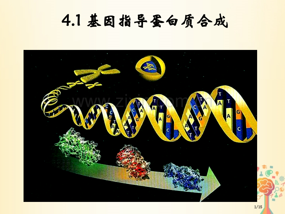 高中生物第四章基因的表达4.1基因指导蛋白质的合成市赛课公开课一等奖省名师优质课获奖PPT课件.pptx_第1页