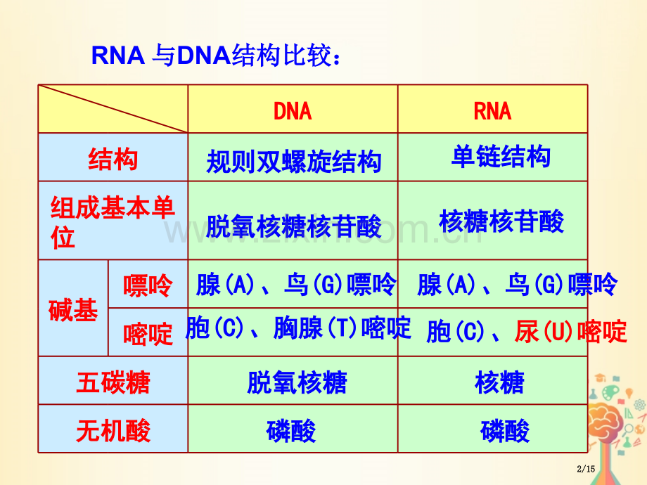 高中生物第四章基因的表达4.1基因指导蛋白质的合成市赛课公开课一等奖省名师优质课获奖PPT课件.pptx_第2页